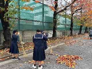 IMG_1332_1_compressed_2025_11_25_091359